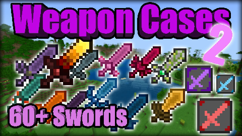 Weapon Cases